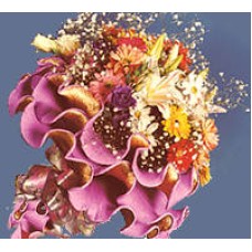 Stunning Bouquet in Italian